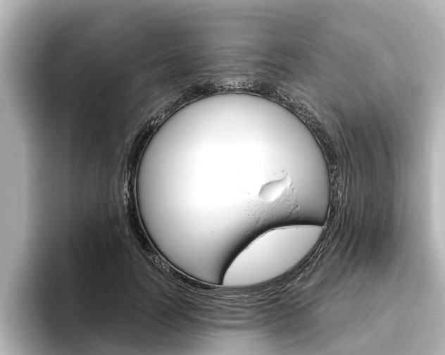 X0000096470746200801241138
