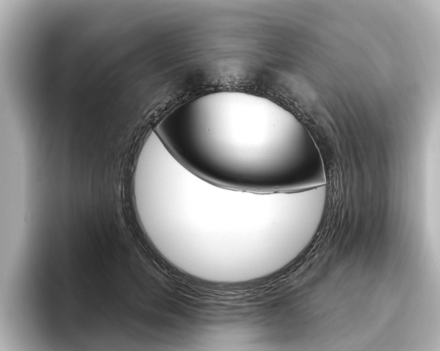 X0000096470750200801241138