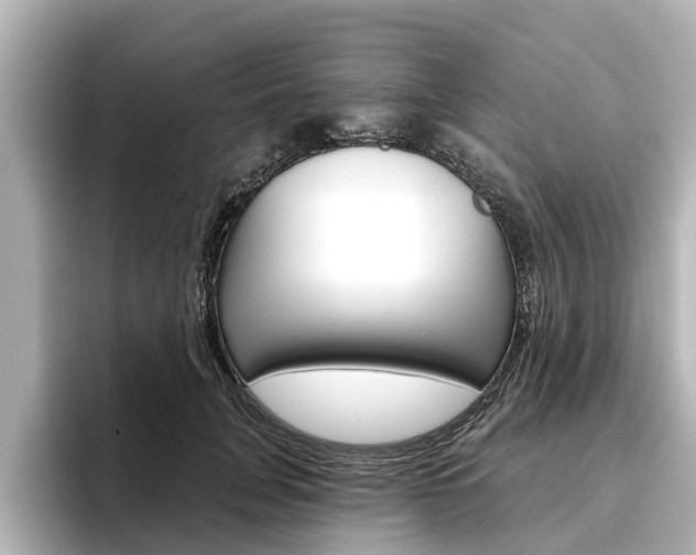 X0000096470751200801241138