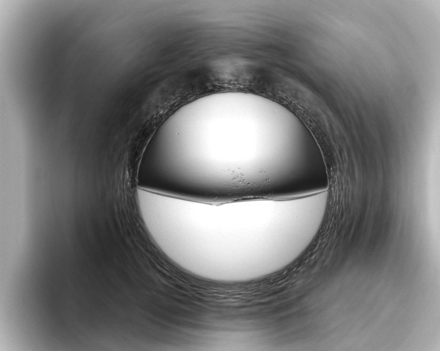 X0000096470752200801241138