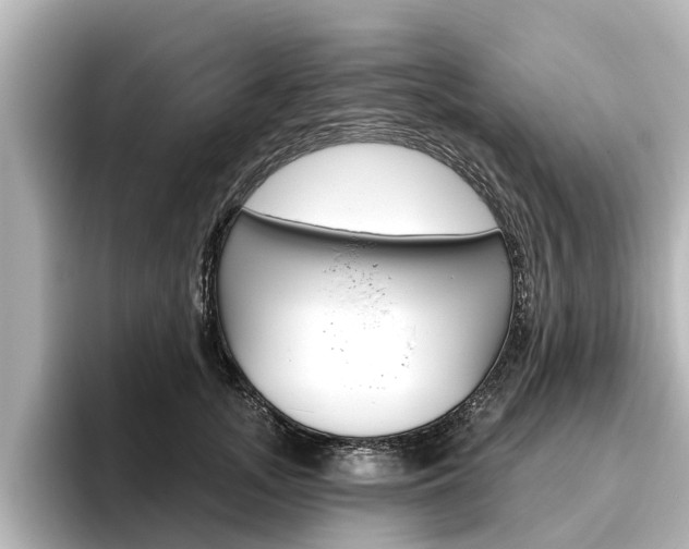 X0000096470755200801241138
