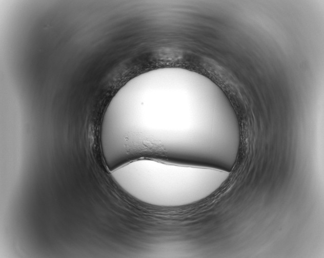 X0000096470758200801241138