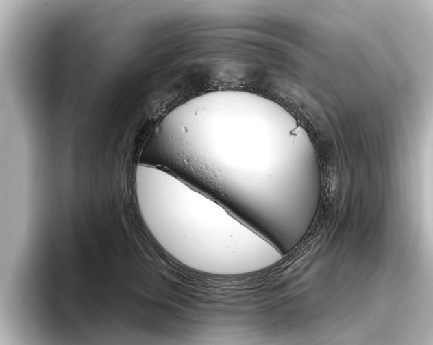 X0000096470759200801241138