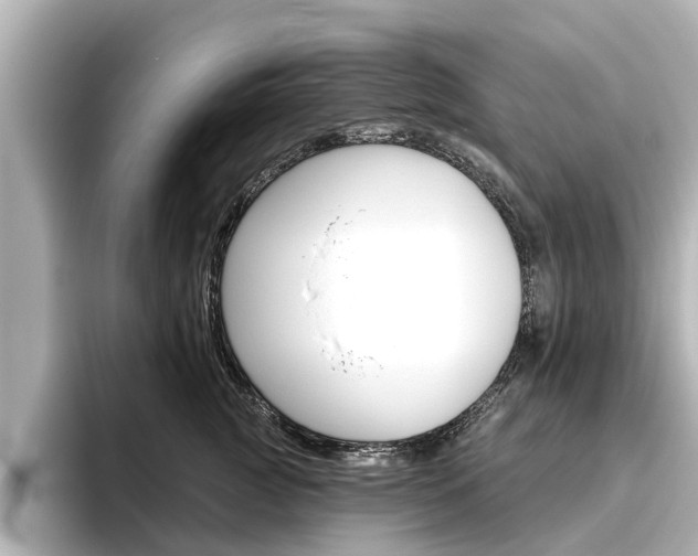 X0000096470761200801241138