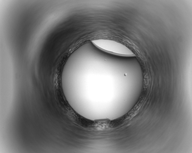 X0000096470762200801241138