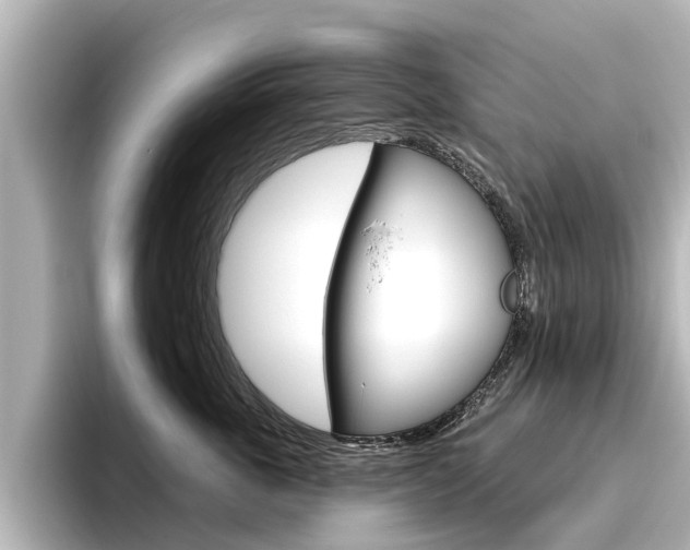 X0000096470763200801241138