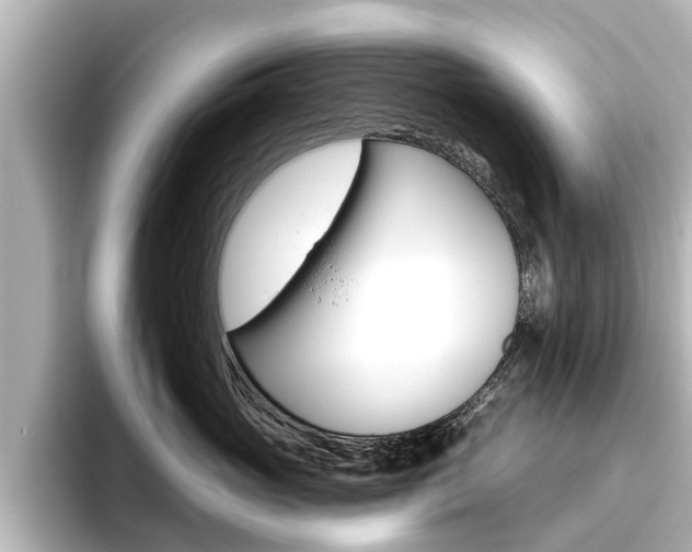 X0000096470765200801241138