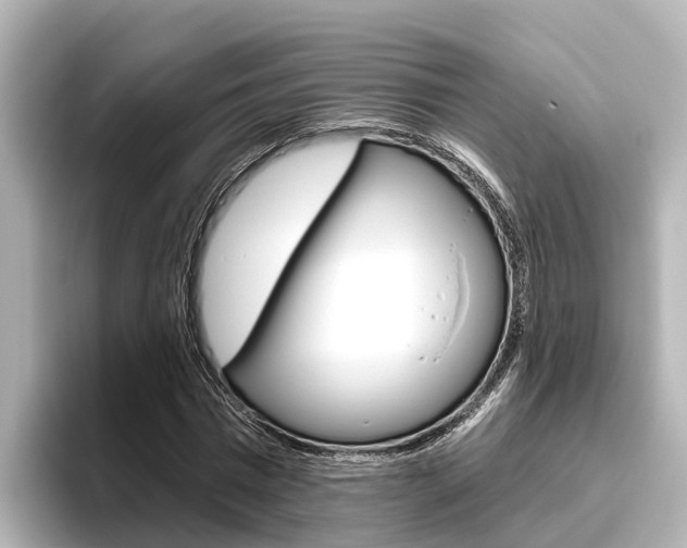 X0000096470777200801241137