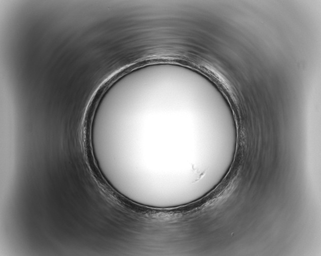 X0000096470779200801241137