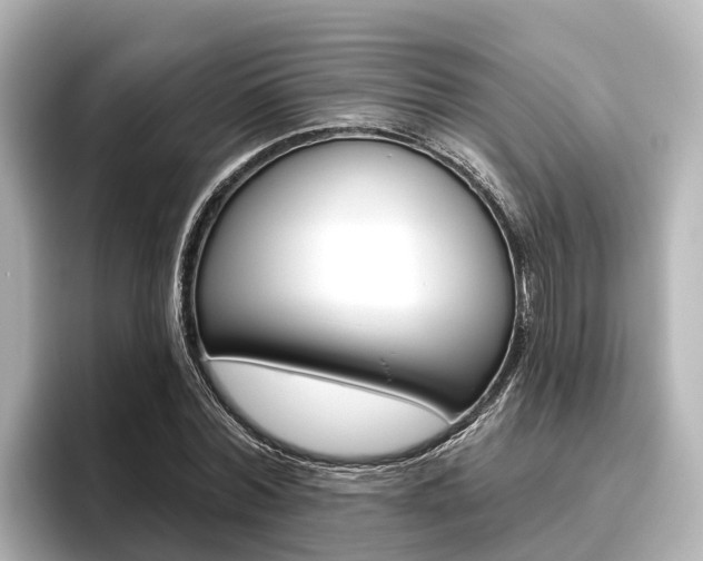 X0000096470780200801241137