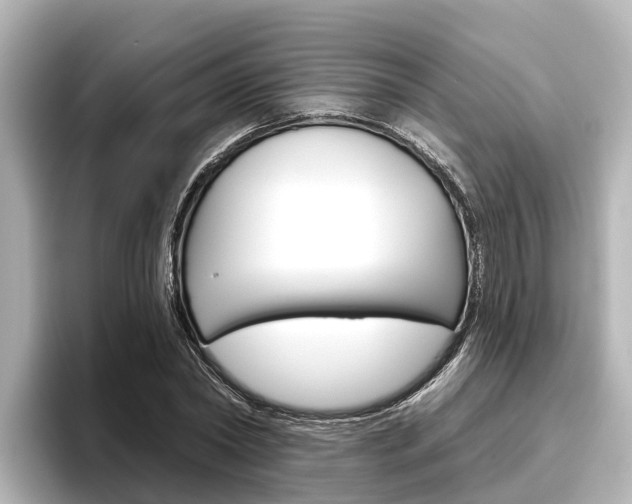 X0000096470782200801241137