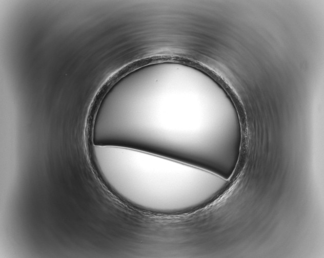 X0000096470783200801241137