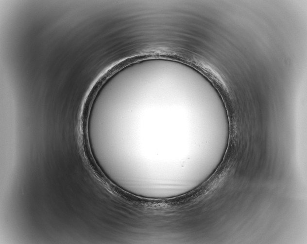 X0000096470784200801241137