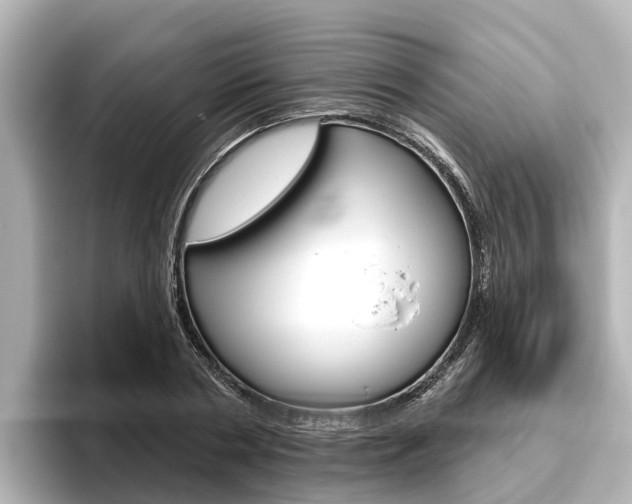 X0000096470786200801241137