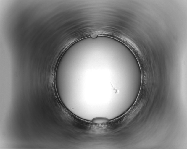 X0000096470793200801241137
