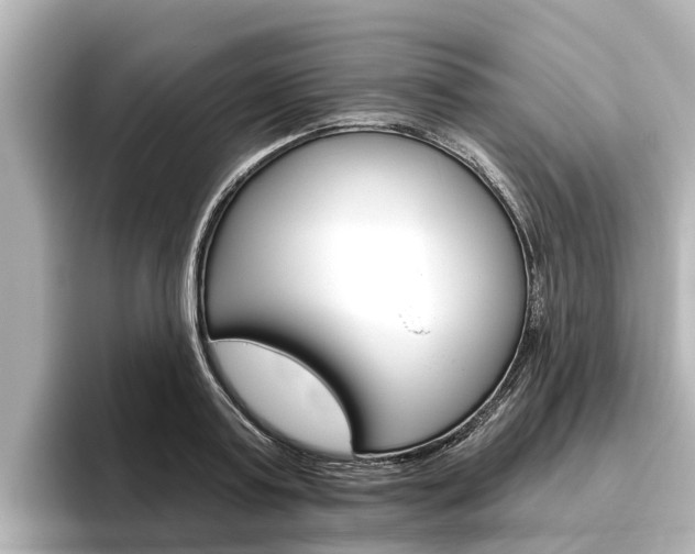 X0000096470795200801241137