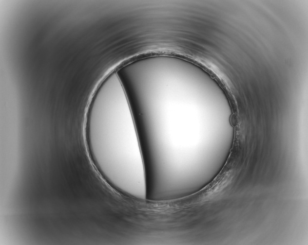 X0000096470799200801241137