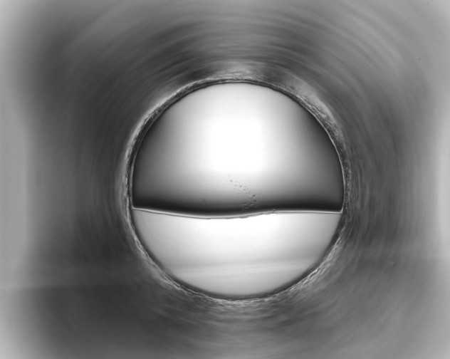 X0000096470800200801241137