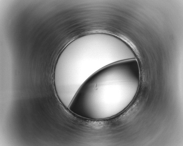 X0000096470801200801241137