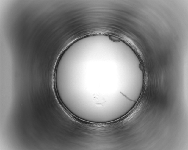 X0000096470802200801241137