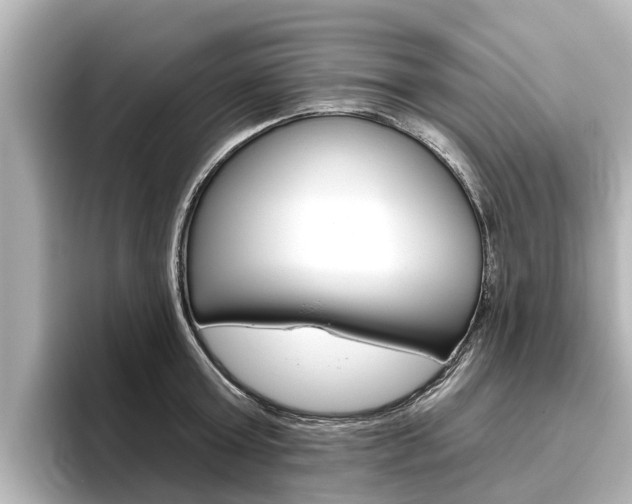 X0000096470803200801241137