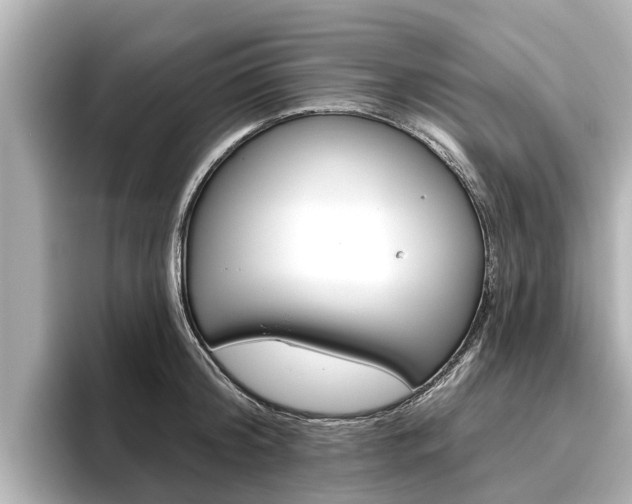 X0000096470804200801241137