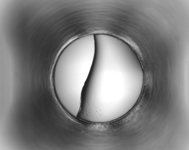 X0000096470806200801241137