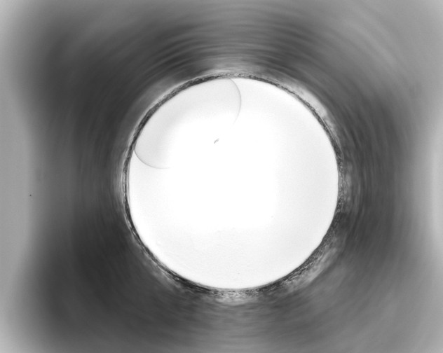 X0000096470807200801241137
