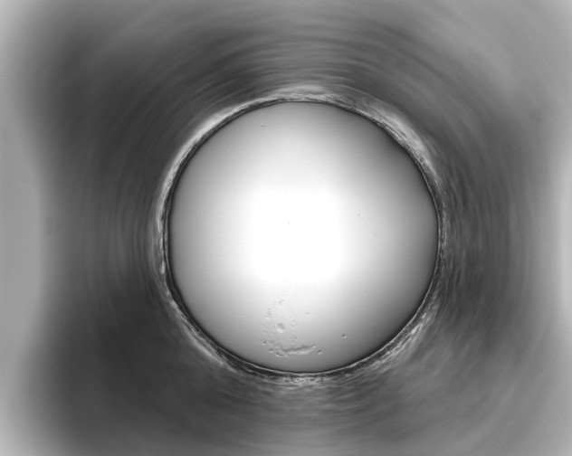 X0000096470808200801241137