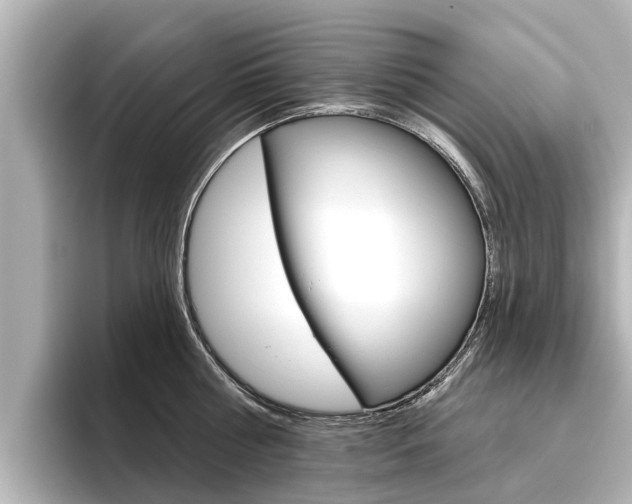 X0000096470810200801241137