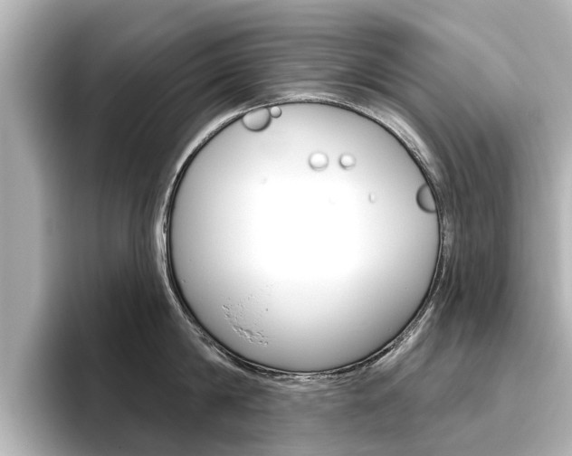 X0000096470814200801241137