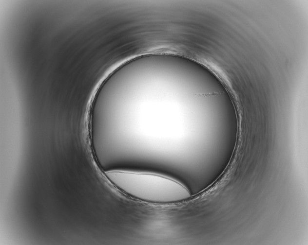 X0000096470816200801241137