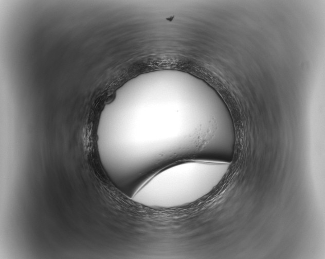 X0000096470818200801241136