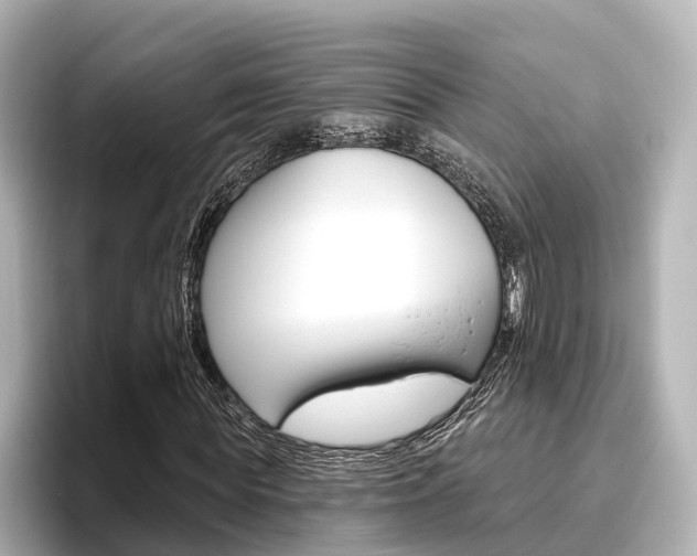 X0000096470819200801241136
