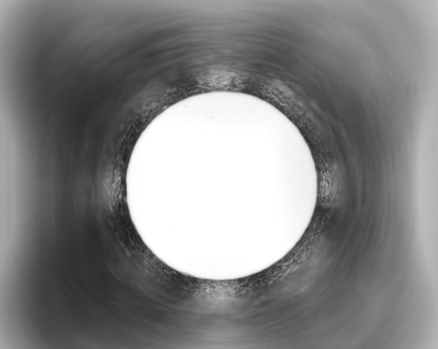 X0000096470820200801241136
