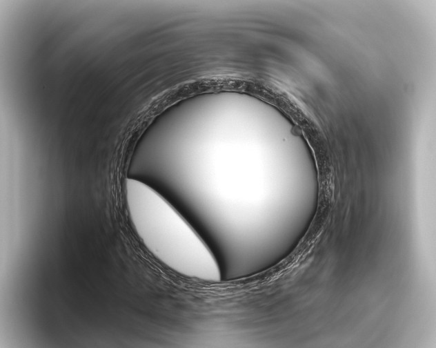 X0000096470821200801241136