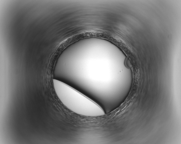 X0000096470822200801241136