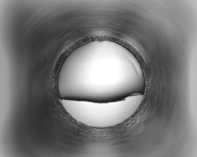 X0000096470823200801241136