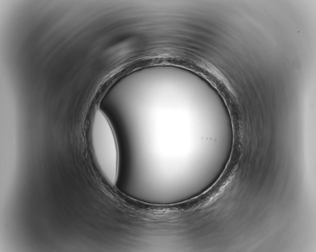 X0000096470826200801241136