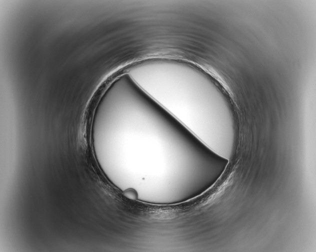 X0000096470830200801241136