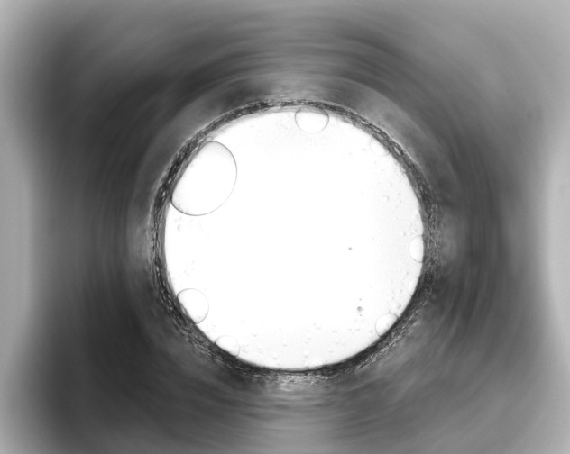 X0000096470832200801241136
