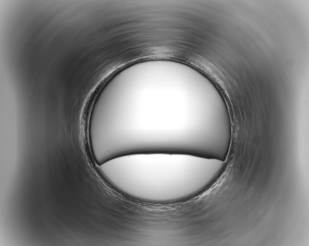 X0000096470835200801241137