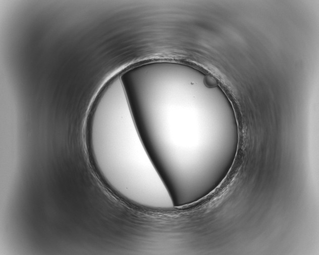 X0000096470838200801241137
