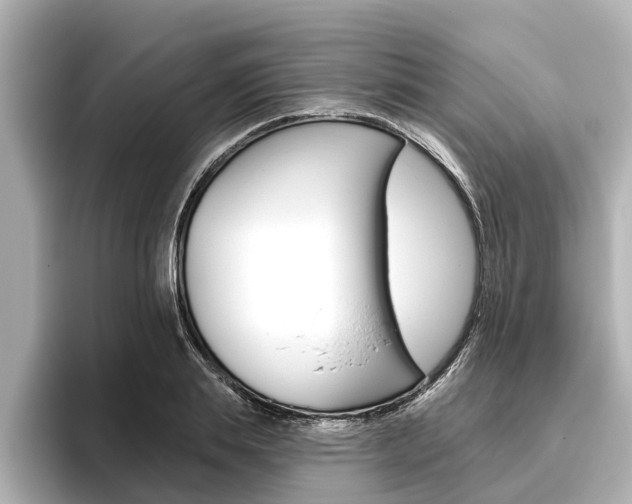 X0000096470839200801241137