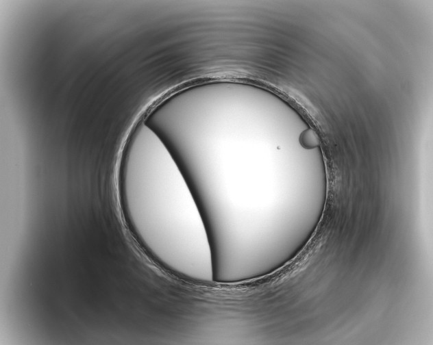 X0000096470840200801241137