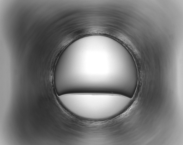 X0000096470841200801241137