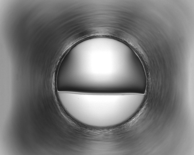 X0000096470842200801241137