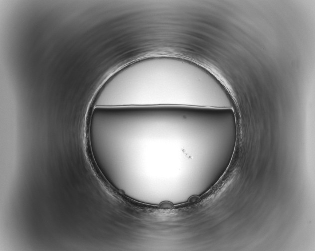 X0000096470845200801241137