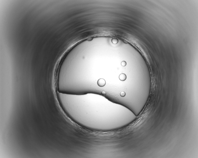 X0000096470851200801241137