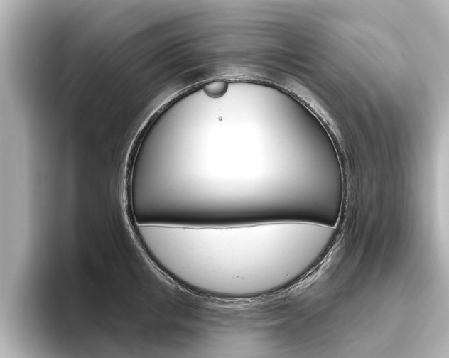 X0000096470853200801241137